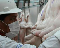 Abastecimiento de carne de cerdo está garantizado en los mercados